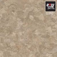 Линолеум Polystyl Space F Plato 3